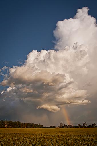 Restless skys-summer-storm.jpg