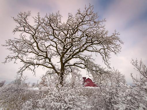 Red Barn in Winter-sticky-snow-42-edit-edit-edit-edit-2.jpg