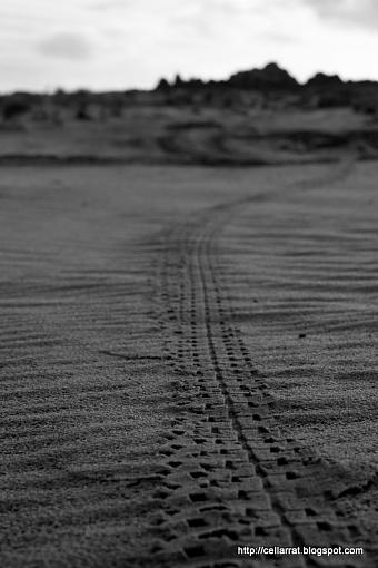 Tire track-062.jpg