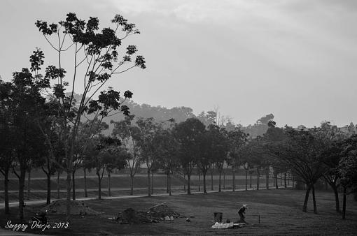 Landscape at cemetery.-dsc_2274.jpg