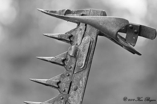 Retired Farmer-_mg_6646.jpg