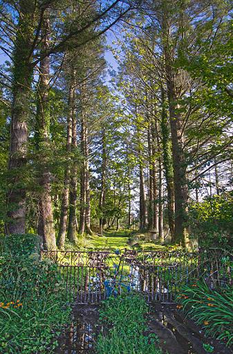 The Irish Gate x2-irish-gate.jpg