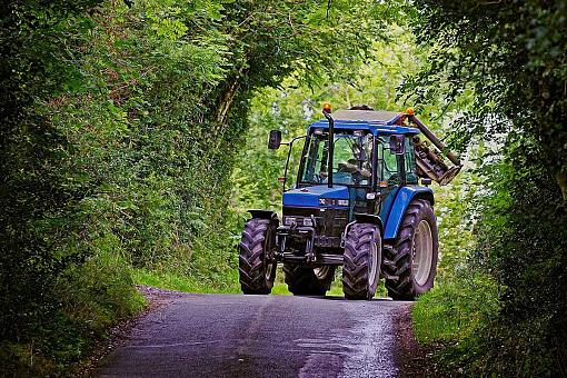 Natures Vignette in rural Ireland-natures-vignette.jpg