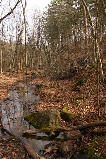 A hike in the woods-stream.jpg