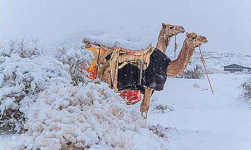 Snow fell in the Sahara for the first time in 50 years, temperature - 2 degrees.-ahr0chm6ly9zlmlzyw5vb2suy29tl3rylzavdwqvmjg1lze0mjuwmtcvz3jolmpwzw%3D%3D.jpg