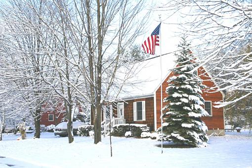 Winter Snow Scene-ely-i-shrinkage.jpg