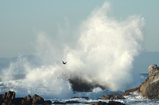 Yesterday at the Beach-dsc_1507.jpg