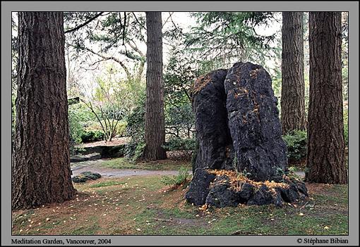 Portrait of a stone-3-screen.jpg