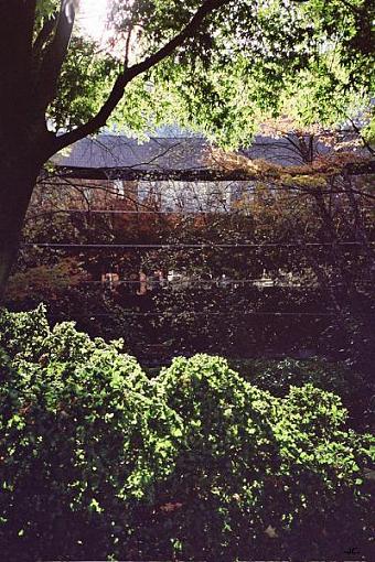 Nice sunny spot for lunch-landscape-bp.jpg