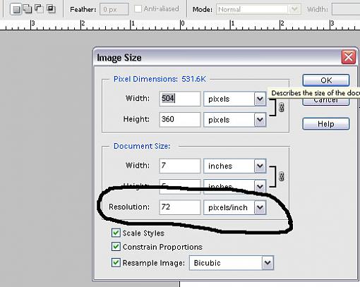 How do I find the dpi on a digital photo?-dpi2.jpg