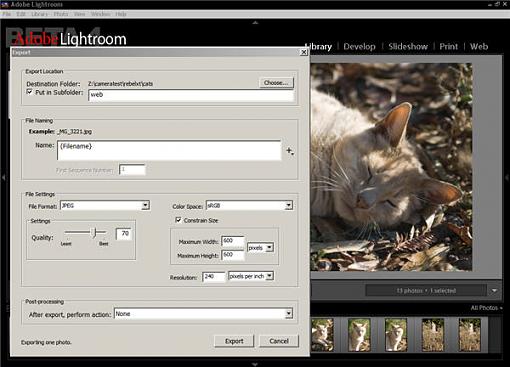 Adobe Lightroom Beta 4.0-lightroom_export.jpg