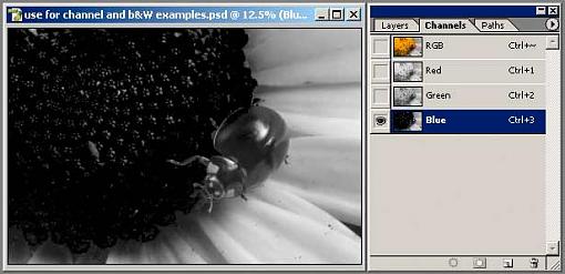 Tutorial: Using the Channel Mixer for B&amp;W Conversion-4.jpg