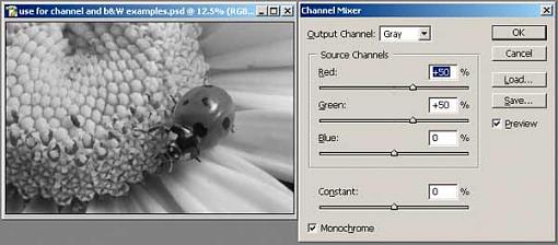 Tutorial: Using the Channel Mixer for B&amp;W Conversion-6.jpg