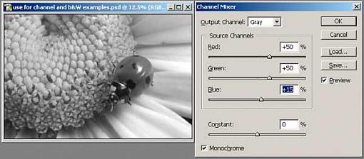 Tutorial: Using the Channel Mixer for B&amp;W Conversion-7.jpg