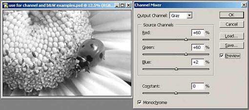 Tutorial: Using the Channel Mixer for B&amp;W Conversion-8.jpg