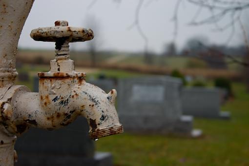 ...November Photo Project: The Cemetery...-crw_8613.jpg