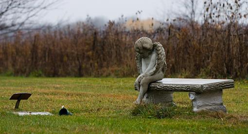 ...November Photo Project: The Cemetery...-crw_8621.jpg