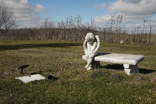 ...November Photo Project: The Cemetery...-crw_8648.jpg