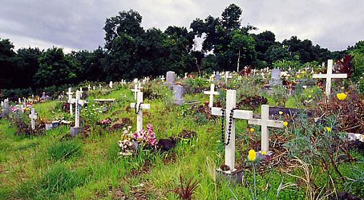 ...November Photo Project: The Cemetery...-cemetary2.jpg