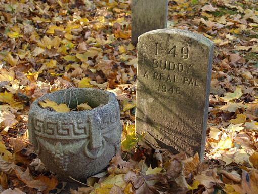 ...November Photo Project: The Cemetery...-buddy-real-pal-8-.jpg