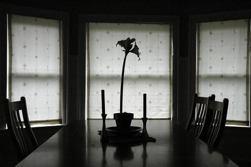 February Photo Project: Silhouette-morningstilllife2.jpg