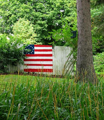 June Photo Project: Plantlife-green-flag.jpg