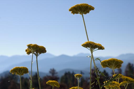 October Photo Project: Landscapes-landscape-mtns.jpg