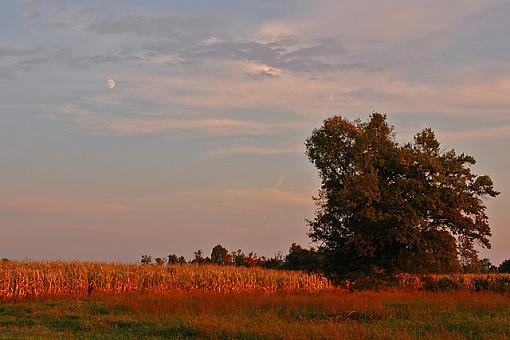 October Photo Project: Landscapes-dsc_5935-2-640.jpg