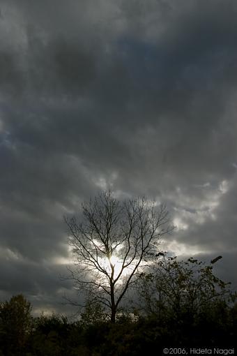 October Photo Project: Landscapes-autumn-tree.jpg