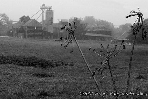 October Photo Project: Landscapes-_rw_5515-1-copy-640.jpg