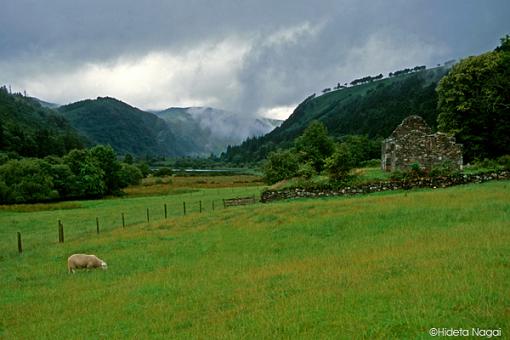 October Photo Project: Landscapes-landscapes-wicklow-ireland.jpg