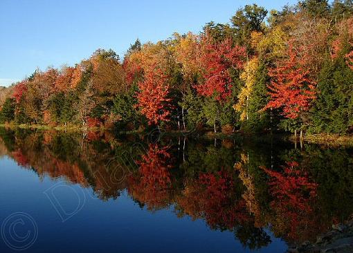 October Photo Project: Landscapes-fall-reflection-pdc.jpg