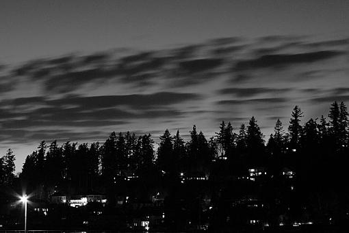 February Photo Project: B&amp;W-img_2659_1_1.jpg