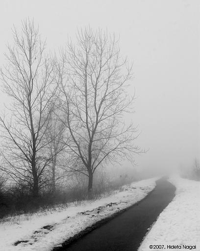 February Photo Project: B&amp;W-02-21-07-winter-fog-1.jpg