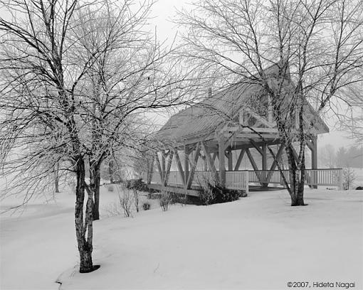 February Photo Project: B&amp;W-02-21-07-winter-fog-2.jpg