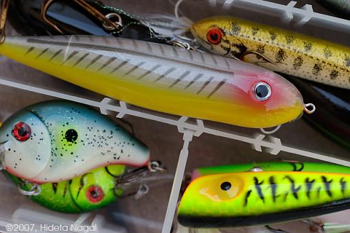 April Photo Project: Hobbies-tackle-2.jpg