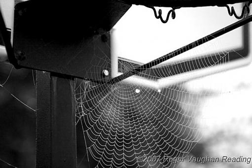 October Photo Project: Look Up-_mg_2711-640.jpg