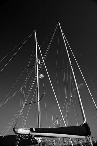 October Photo Project: Look Up-_mg_2685-640.jpg