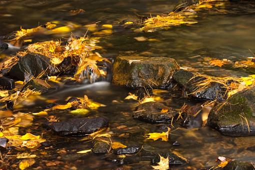 November Photo Project: Autumn Colours-fall-creek.jpg