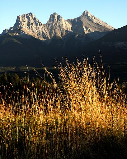 November Photo Project: Autumn Colours-dsc_7515canadianrockies_8x10_sml.jpg