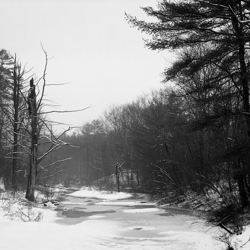 February Photo Project: Lanscapes-02052008-9.jpg