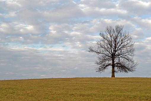 February Photo Project: Lanscapes-dsc_1159-4c-640.jpg