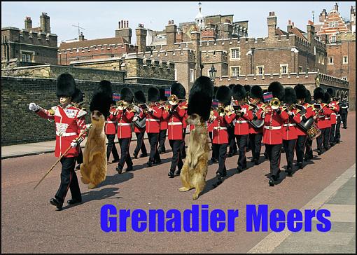 2009 January Project: Humour-grenadier-meers.jpg