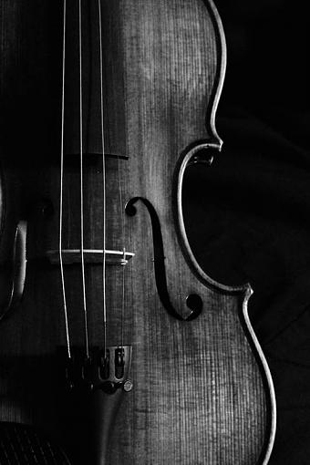 2009 April Project: B&amp;W-violin-b-w.jpg