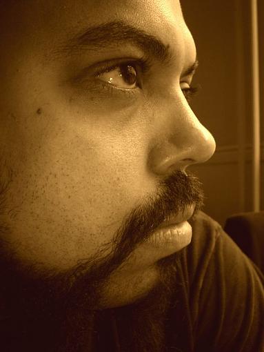 December project...portraits-simon-sepia.jpg