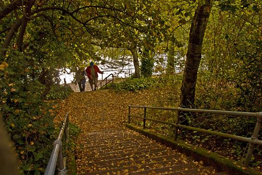 January 2010 project......STAIRS-2008-10-29_2468-2.jpg