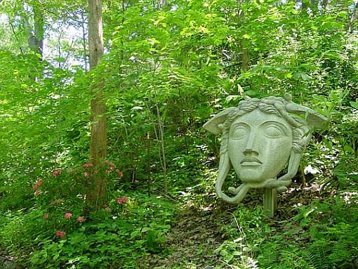 May project...GREEN-face-garden.jpg