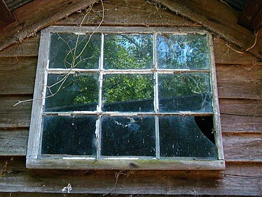 June Project  &quot;Windows&quot;-shed-back-window.jpg