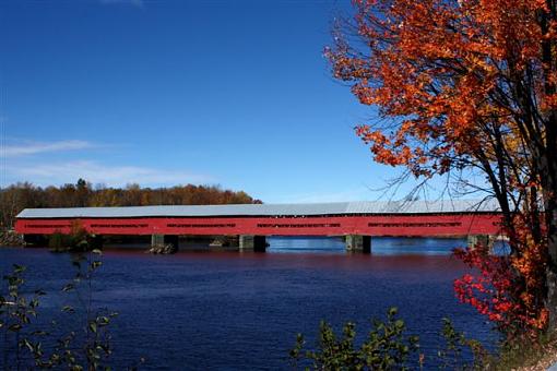 October project...Fall! or Spring if you are south of the equator-img_8960.jpg