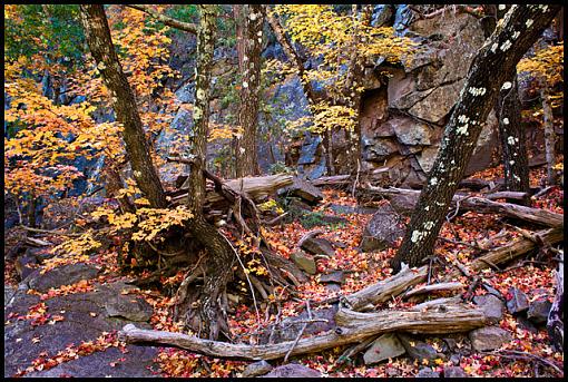 October project...Fall! or Spring if you are south of the equator-boot-canyon-chisos.jpg